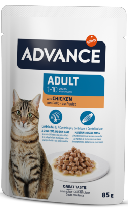 Advance Cat Adult Chicken | Wet (Saqueta) Caixa 12 Saquetas 85g