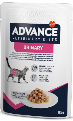 Advance Vet Cat Urinary| Wet (Saqueta) Cx c/ 12 saquetas 85 g