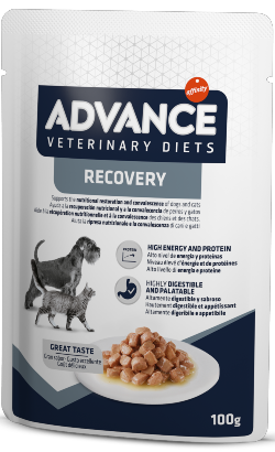 Advance Vet Dog & Cat Recovery | Wet (Saqueta) 11 X 100 g