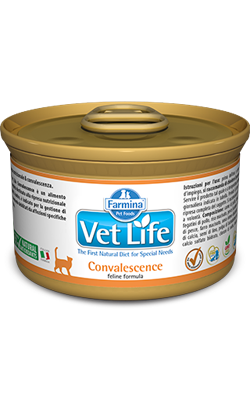 Farmina Vet Life Feline Convalescence | Wet (Lata) 12 X 85 g