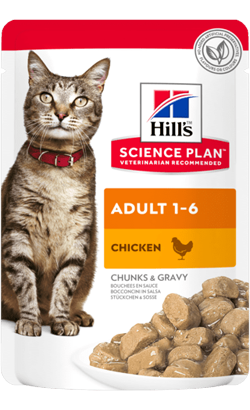 Hills Science Plan Adult Cat with Chicken | Wet (Saqueta) Cx c/ 12 saquetas 85g