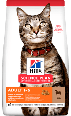 Hills Science Plan Adult Cat with Lamb 10 kg
