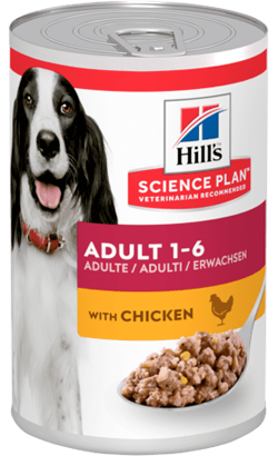 Hills Science Plan Dog Adult with Chicken | Wet (Lata) 12 X 370 g