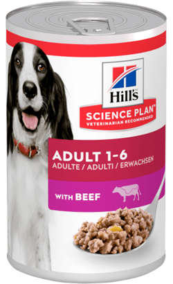 Hills Science Plan Dog Adult with Beef | Wet (Lata) 12 X 370 g