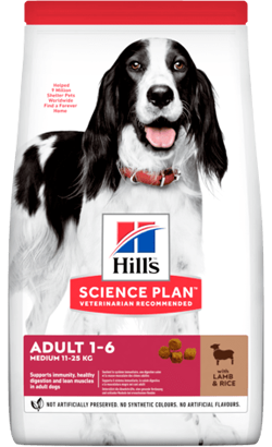 Hills Science Plan Dog Medium Adult with Lamb & Rice 2.5 Kg