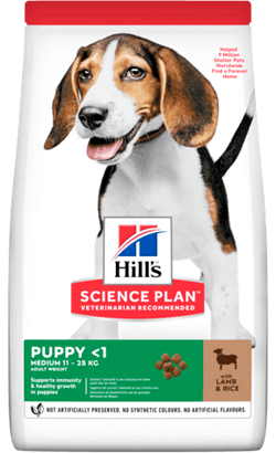 Hills Science Plan Medium Puppy with Lamb & Rice 2,5 kg