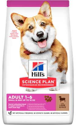 Hills Science Plan Dog Small & Mini Adult with Lamb & Rice 1,5 kg