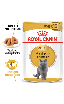 Royal Canin Cat British Shorthair Adult | Wet (Saqueta) 12 X 85 g