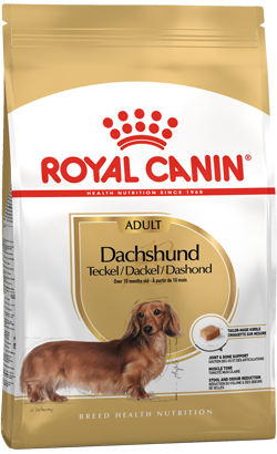 Royal Canin Dog Dachshund Adult 7,5 Kg