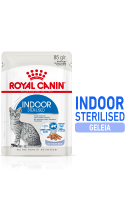 Royal Canin Cat Indoor in Jelly | Wet (Saqueta) 12 X 85 g
