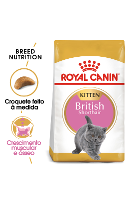 Royal Canin Cat Kitten British Shorthair 2 kg