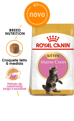 Royal Canin Cat Kitten Maine Coon 4 Kg