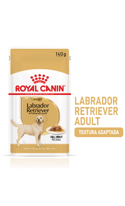 Royal Canin Dog Labrador Retriever Adult | Wet (saqueta) 10 X 140 g