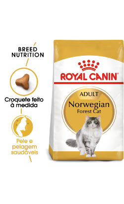 Royal Canin Cat Norwegian Forest Adult 2 Kg