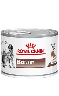 Royal Canin Vet Recovery Canine & Feline | Wet (Lata) 12 X 195 g