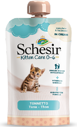 Schesir Kitten Care Creme Atum 0-6 Meses | Wet (Saqueta) 20 X 150 g