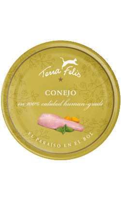 Terra Felis Coelho | Wet (Lata) 12 X 80 g